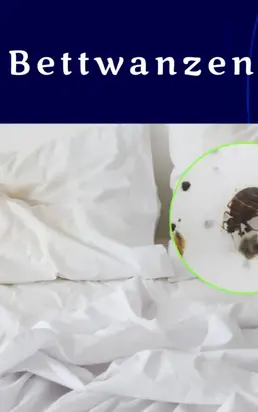 Bettwanzen
