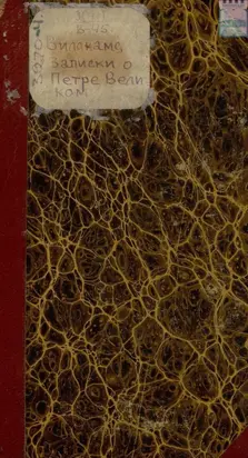 Записки о Петре Великом: С примечаниями переводчика. Часть 1