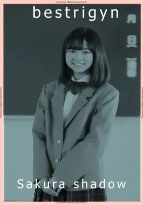 Sakura shadow