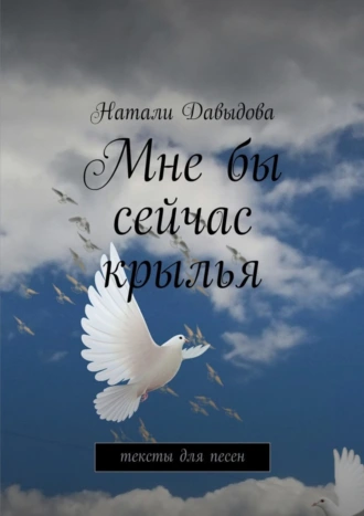 Мне бы сейчас крылья. Тексты для песен