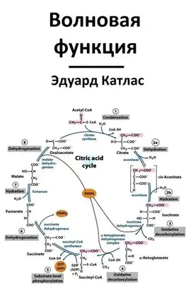 Волновая функция