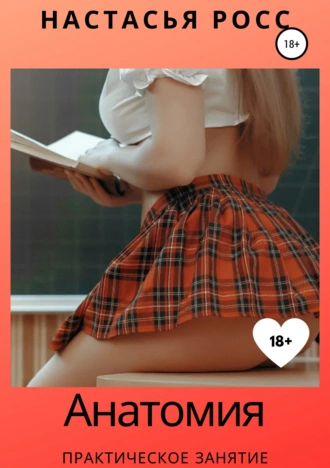 Анатомия. Практическое занятие