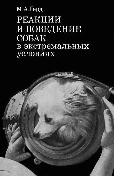 Реакции и поведение собак в экстремальных условиях