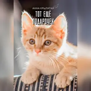 Тот ещё подарочек