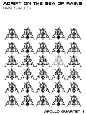 Adrift on the Sea of Rains