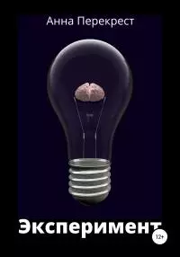 Эксперимент [litres самиздат]