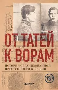 От татей к ворам. История организованной преступности в России [litres]