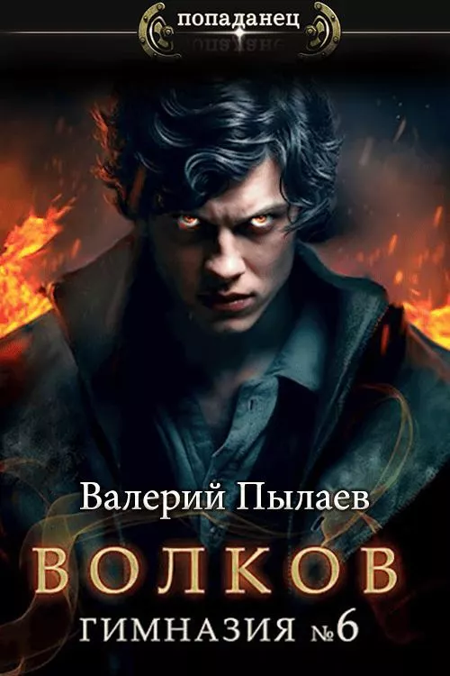 Гимназия №6