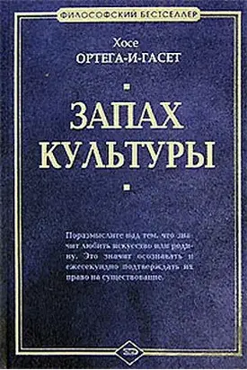 Эстетика в трамвае