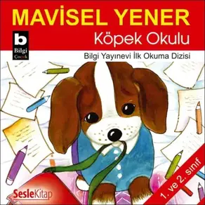 Köpek Okulu