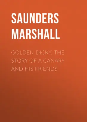 Golden Dicky, The Story of a Canary and His Friends