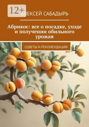 Абрикос: все о посадке, уходе и получении обильного урожая. Советы и рекомендации