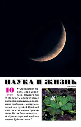 Наука и жизнь №10/2022