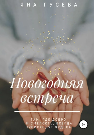 Новогодняя встреча
