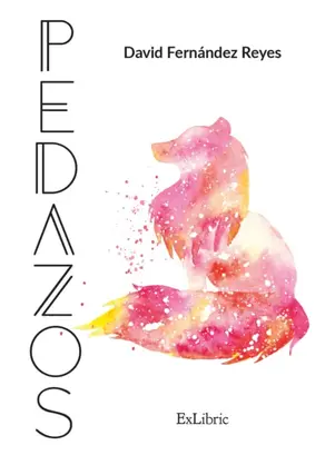 Pedazos