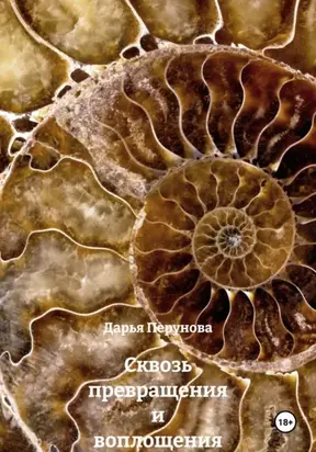 Сквозь превращения и воплощения