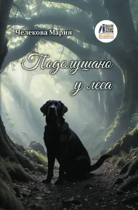 Подслушано у леса