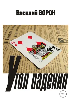 Угол падения [litres самиздат]