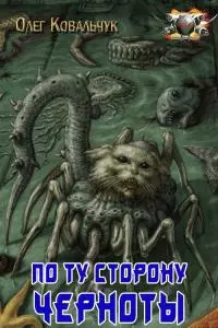 По ту сторону черноты [СИ]