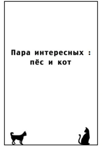 Пара интересных: пёс и кот