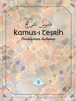 KAMUS – I TEŞRİH