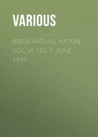 Birds and All Nature, Vol. VI, No. 1, June 1899