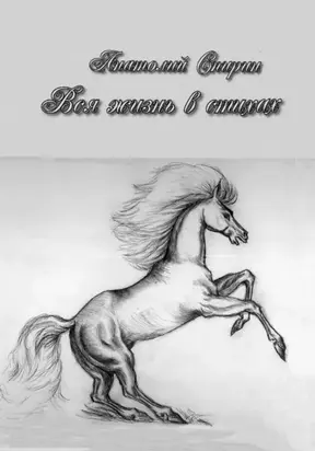 Вся жизнь в стихах