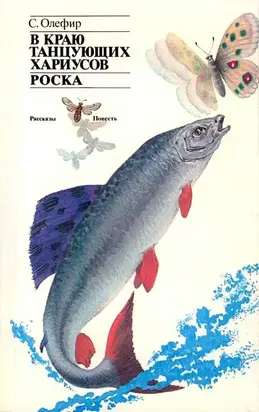 В краю танцующих хариусов. Роска