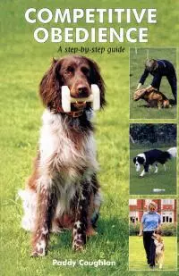 Обидиенс. Поэтапная подготовка к соревнованиям по послушанию