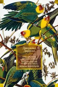 Три билета до Эдвенчер; Под пологом пьяного леса; Земля шорохов [сборник litres]