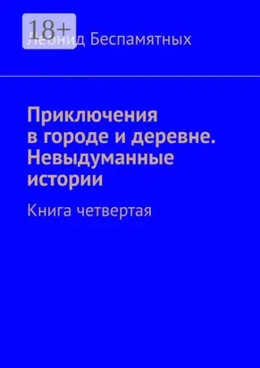 Приключения в городе и деревне. Невыдуманные истории. Книга четвертая