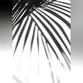 Идеальный контракт