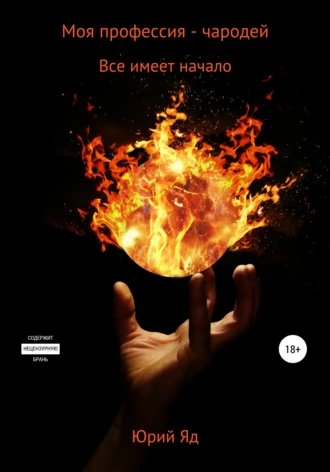 Моя профессия – чародей