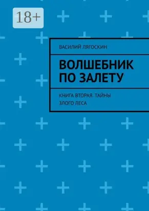Волшебник по залету. Книга вторая. Тайны Злого Леса