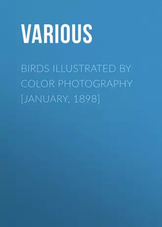 Birds Illustrated by Color Photography [January, 1898]