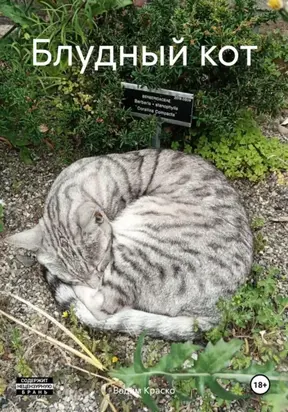 БЛУДНЫЙ КОТ