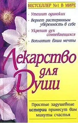 Куриный бульон для души