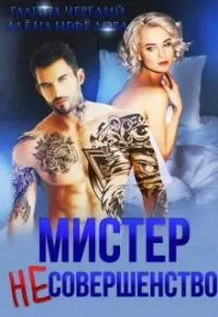 Мистер Несовершенство [СИ]