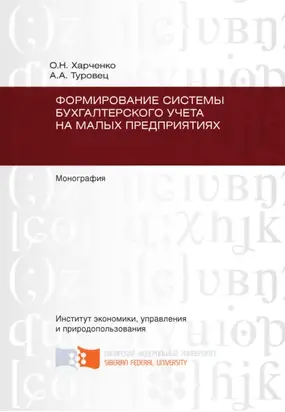 Формирование системы бухгалтерского учета на малых предприятиях