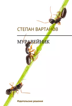 Муравейник