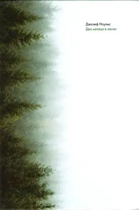 Два месяца в лесах