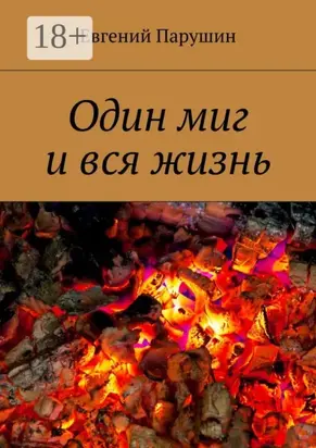 Один миг и вся жизнь