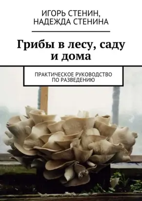 Грибы в лесу, саду и дома