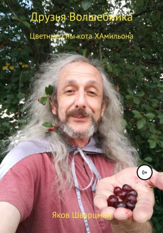 Цветные сны Кота Хамильона