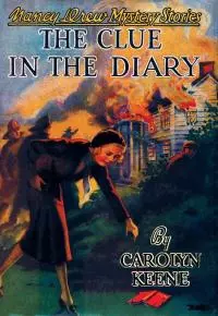 Загадка в дневнике