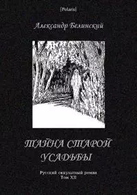 Тайна старой усадьбы [Русский оккультный роман, т. XII]