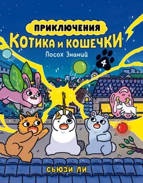 Приключения котика и кошечки. Книга 4. Посох Знаний