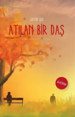 Atılan bir daş