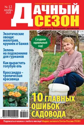 Дачный сезон №12/2020