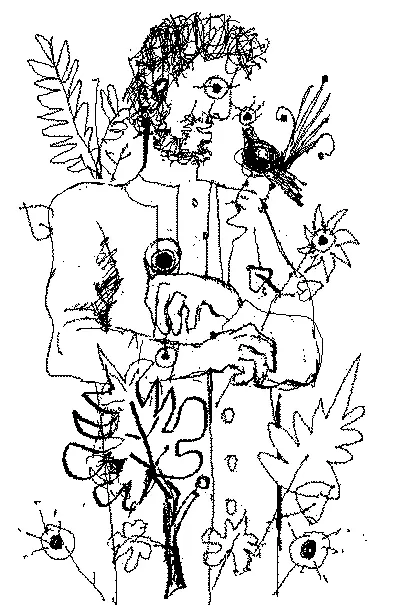 Брифинг по никое време